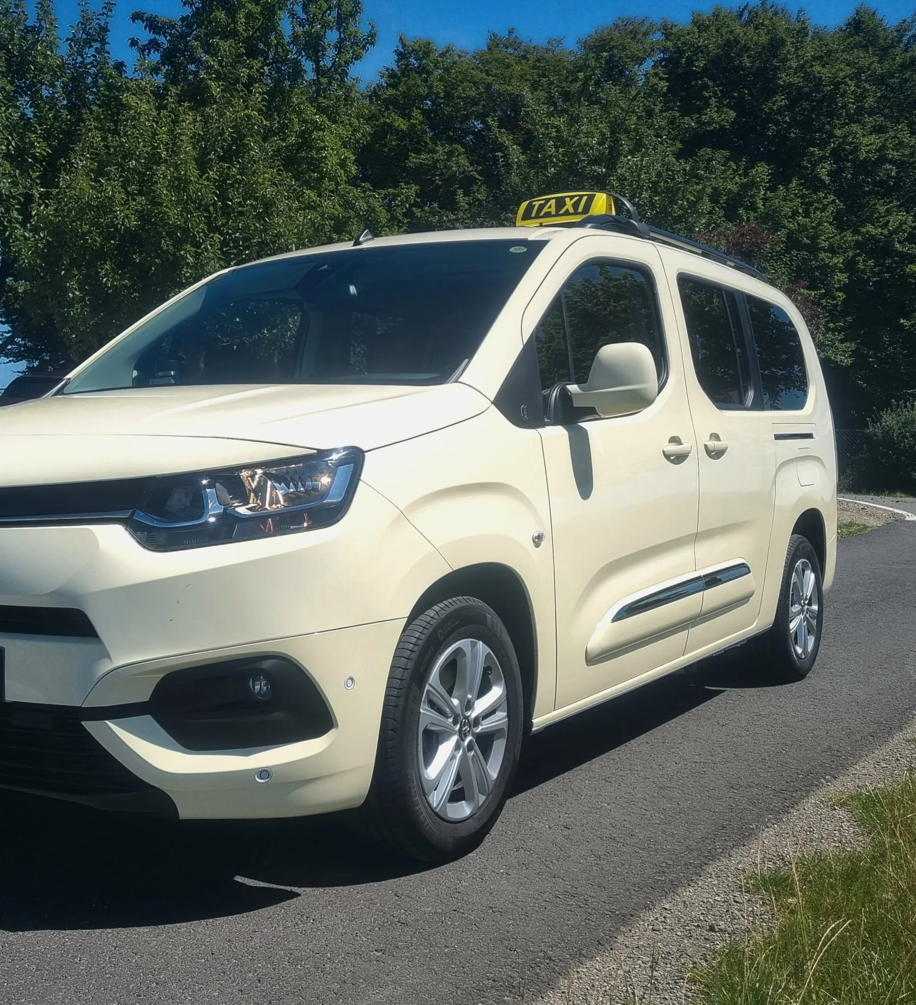 Unser Rollstuhltaxi Kassel – Frontansicht